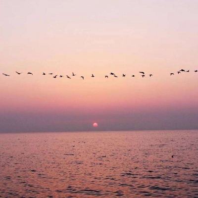 非凡体育APP下载app下载